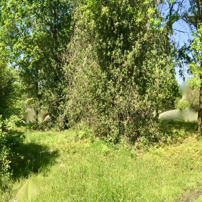 Offres de vente Terrain Le Taillan-Médoc (33320)